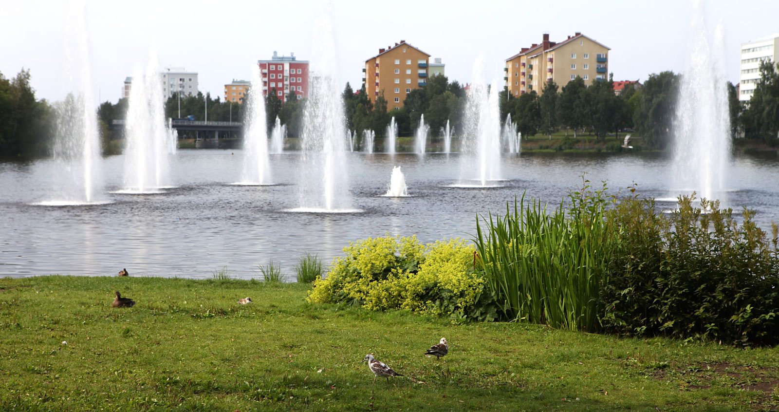 Oulu
